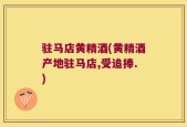 驻马店黄精酒(黄精酒产地驻马店,受追捧.)