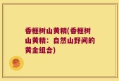 香榧树山黄精(香榧树山黄精：自然山野间的黄金组合)