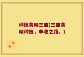 种植黄精三亩(三亩黄精种植，丰收之路。)