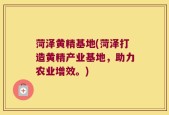 菏泽黄精基地(菏泽打造黄精产业基地，助力农业增效。)