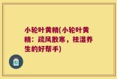 小轮叶黄精(小轮叶黄精：疏风散寒，祛湿养生的好帮手)