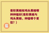 姜形黄精和鸡头黄精哪种种植好(姜形黄精与鸡头黄精，种植哪个更佳？)