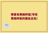 哪里有黄精种苗(寻找黄精种苗的最佳去处)