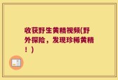 收获野生黄精视频(野外探险，发现珍稀黄精！)