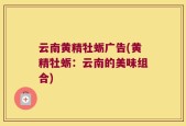 云南黄精牡蛎广告(黄精牡蛎：云南的美味组合)