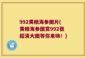 992黄精海参图片(黄精海参图赏992张超清大图等你来嗨！)