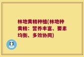 林地黄精种植(林地种黄精：营养丰富、要素均衡、多效协同)