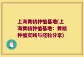上海黄精种植基地(上海黄精种植基地：黄精种植实践与经验分享)