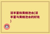 淫羊藿和黄精泡水(淫羊藿与黄精泡水的好处)