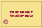 宜黄周边黄精基地(宜黄周边黄精产地探访)