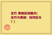 玉竹 黄精区别图片(玉竹与黄精：如何区分？)