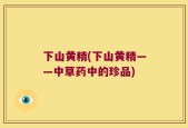 下山黄精(下山黄精——中草药中的珍品)