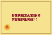 野生黄精怎么繁殖(如何繁殖野生黄精？)