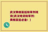 武汉黄精苗后除草剂现货(武汉现货除草剂：黄精苗后必备！)