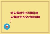 鸡头黄精生长讲解(鸡头黄精生长全过程详解)