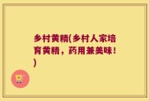 乡村黄精(乡村人家培育黄精，药用兼美味！)