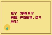 景宁   黄精(景宁黄精：神奇植物，益气养生)