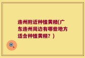 连州附近种植黄精(广东连州周边有哪些地方适合种植黄精？)