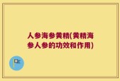 人参海参黄精(黄精海参人参的功效和作用)