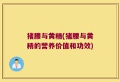 猪腰与黄精(猪腰与黄精的营养价值和功效)