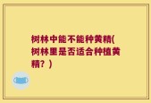 树林中能不能种黄精(树林里是否适合种植黄精？)