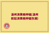 温州滇黄精种植(温州掀起滇黄精种植热潮)
