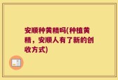 安顺种黄精吗(种植黄精，安顺人有了新的创收方式)