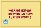种植黄精底肥(黄精底肥的种植技巧和方法大全，赶快来学习吧！)