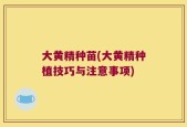 大黄精种苗(大黄精种植技巧与注意事项)