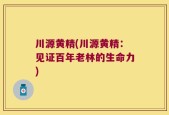 川源黄精(川源黄精：见证百年老林的生命力)