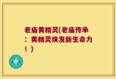 老庙黄精灵(老庙传承：黄精灵焕发新生命力！)