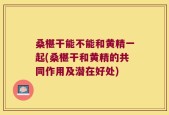 桑椹干能不能和黄精一起(桑椹干和黄精的共同作用及潜在好处)