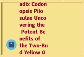 二苞黄精的拉丁文(Radix Codonopsis Pilosulae Uncovering the Potent Benefits of the Two-Bud Yellow Ginseng)