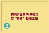 安徽灵璧黄精(安徽灵璧“黄精”名扬四海)