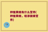 种植黄精有什么营养(种植黄精，增添健康营养)