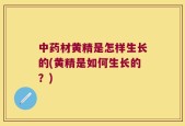 中药材黄精是怎样生长的(黄精是如何生长的？)