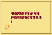 昭通黄精籽育苗(昭通种植黄精籽的育苗方法)