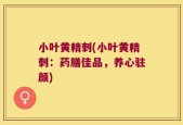 小叶黄精刺(小叶黄精刺：药膳佳品，养心驻颜)