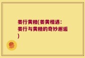 姜行黄精(姜黄相遇：姜行与黄精的奇妙邂逅)
