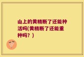 山上的黄精断了还能种活吗(黄精断了还能重种吗？)