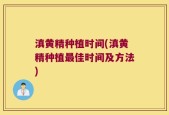 滇黄精种植时间(滇黄精种植最佳时间及方法)