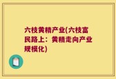 六枝黄精产业(六枝富民路上：黄精走向产业规模化)