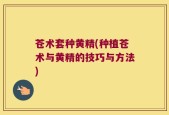 苍术套种黄精(种植苍术与黄精的技巧与方法)