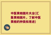 中医黄精图片大全(汇集黄精图片，了解中医黄精的种类和用途)