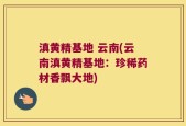 滇黄精基地 云南(云南滇黄精基地：珍稀药材香飘大地)
