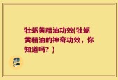 牡蛎黄精油功效(牡蛎黄精油的神奇功效，你知道吗？)