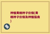种植黄精种子价格(黄精种子价格及种植指南)