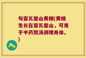 句容瓦屋山黄精(黄精生长在容瓦屋山，可用于中药熬汤调理身体。)