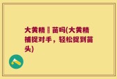 大黄精捯苗吗(大黄精捕捉对手，轻松捉到苗头)