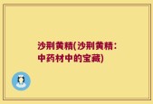 沙荆黄精(沙荆黄精：中药材中的宝藏)